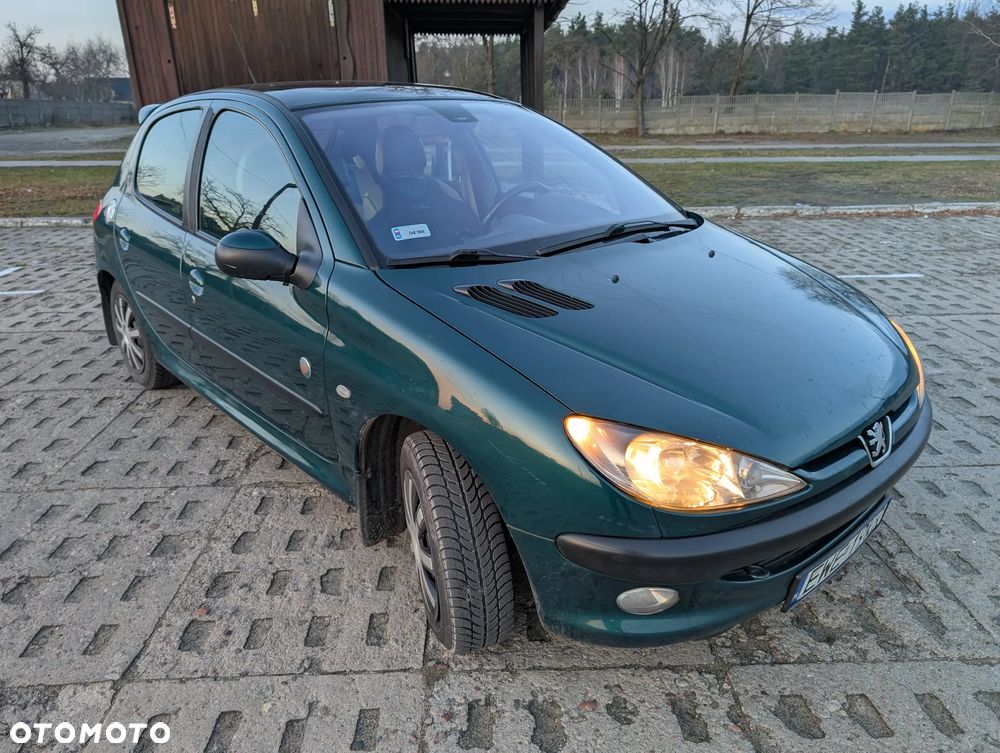 Peugeot 206 1.4 Roland Garros - 1