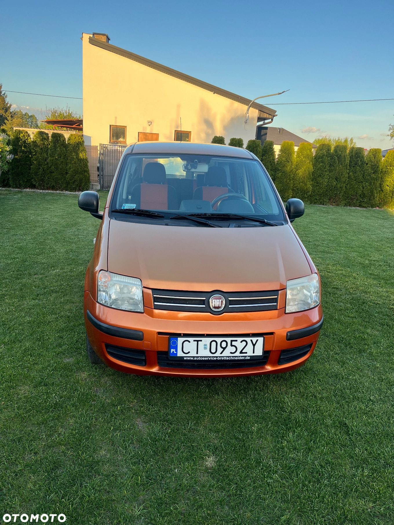 Fiat Panda - 2