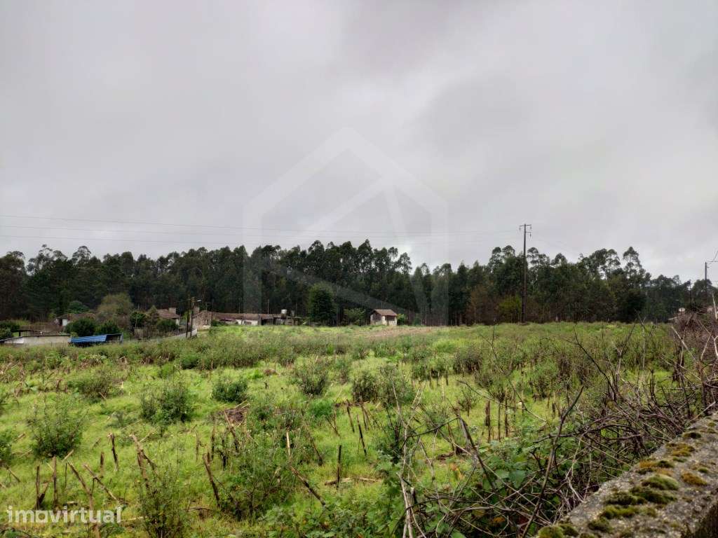 Terreno para Construção em UL, Oliveira de Azeméis - Grande imagem: 5/10