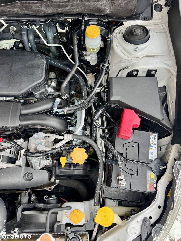 Subaru Outback - 21