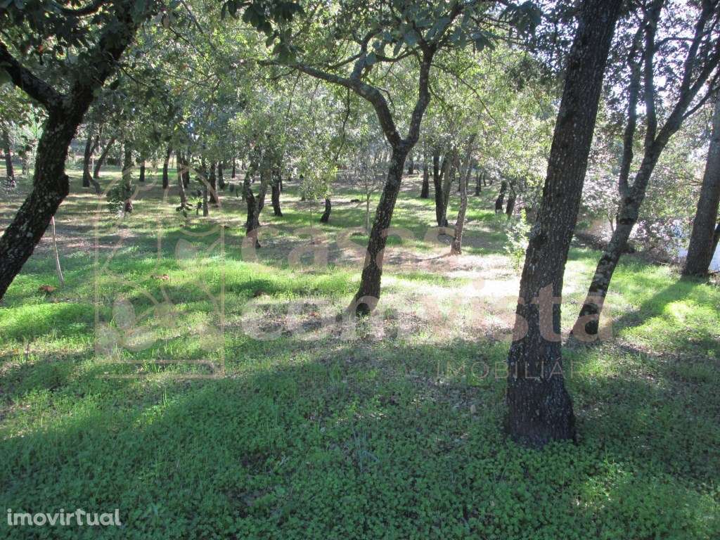 Terreno - Grande imagem: 3/12