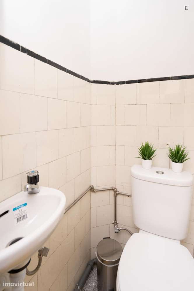 Apartamento com 3 quartos - localizado em Bonfim Porto - Grande imagem: 2/38
