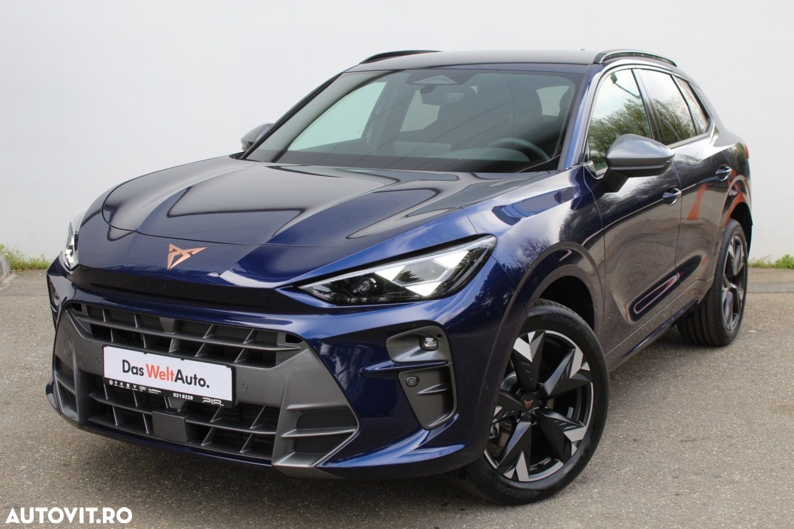Cupra Terramar - 1