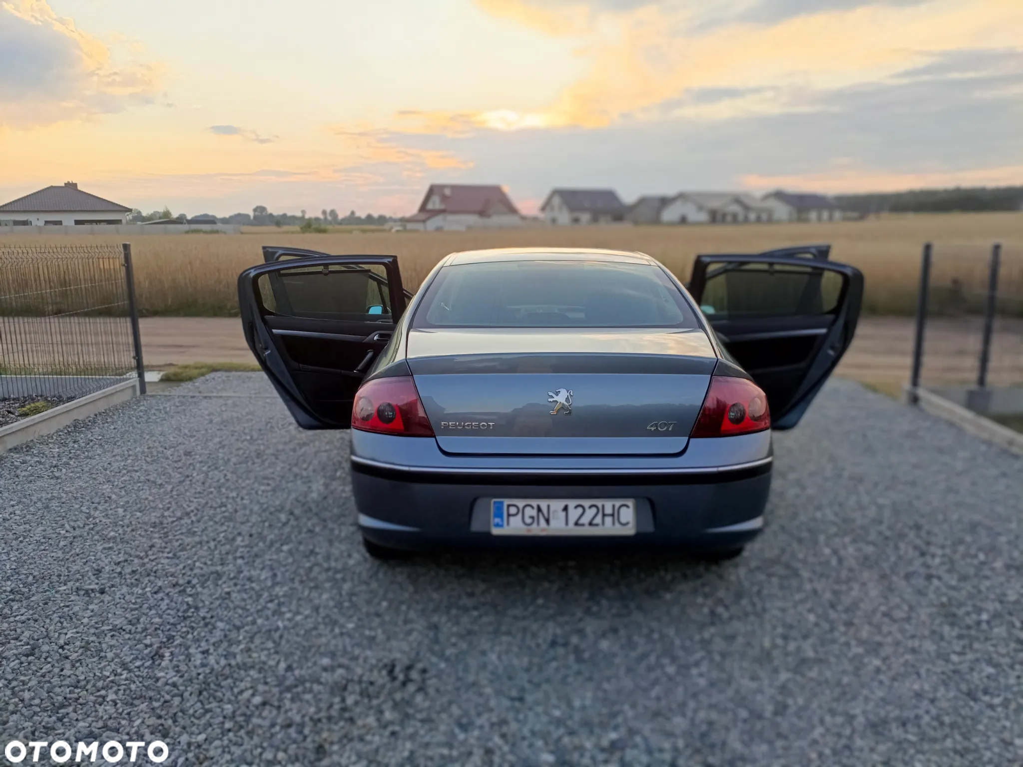 Peugeot 407 - 6