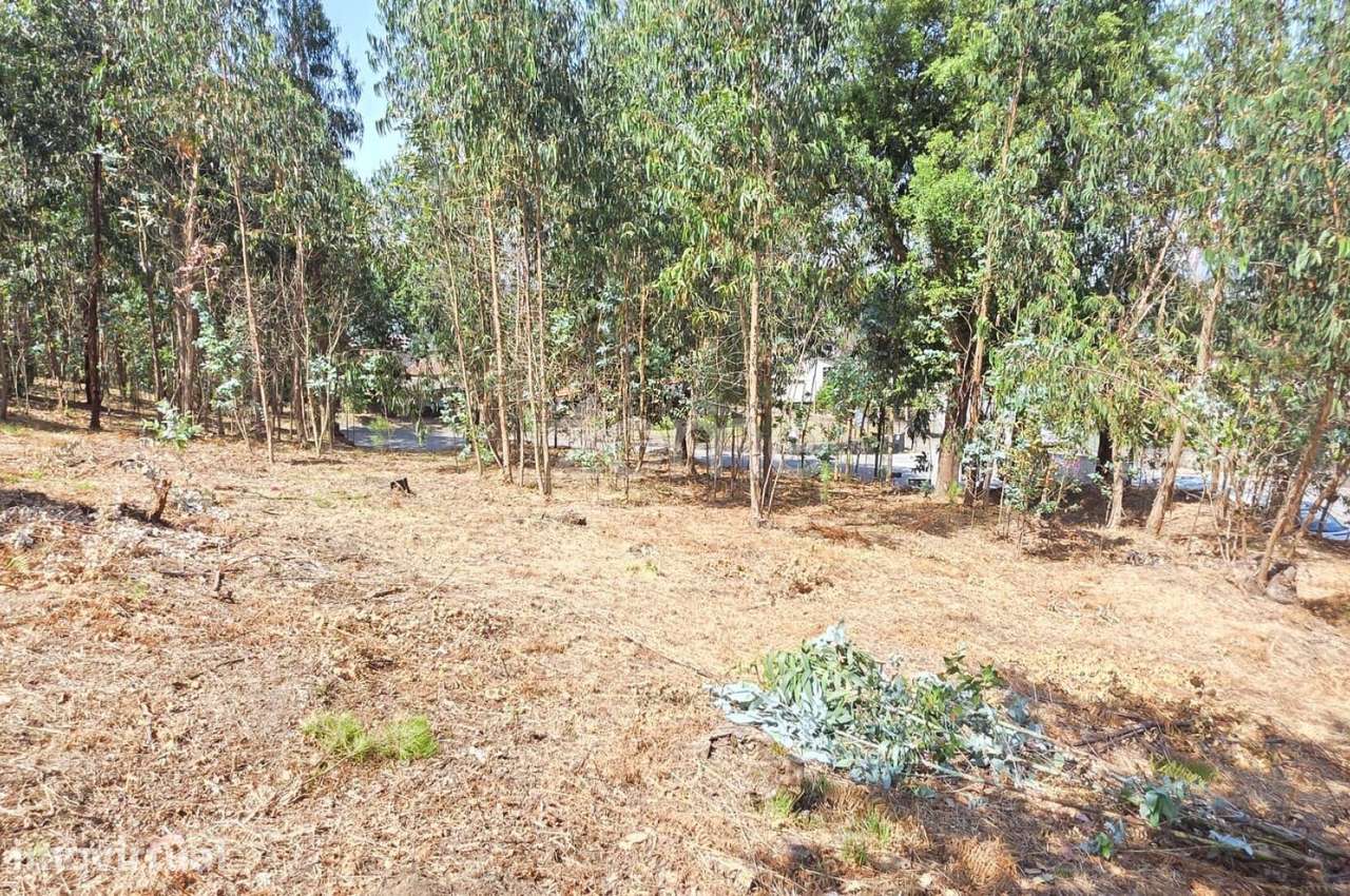 Terreno para construção em Airó - Barcelos - Grande imagem: 3/15