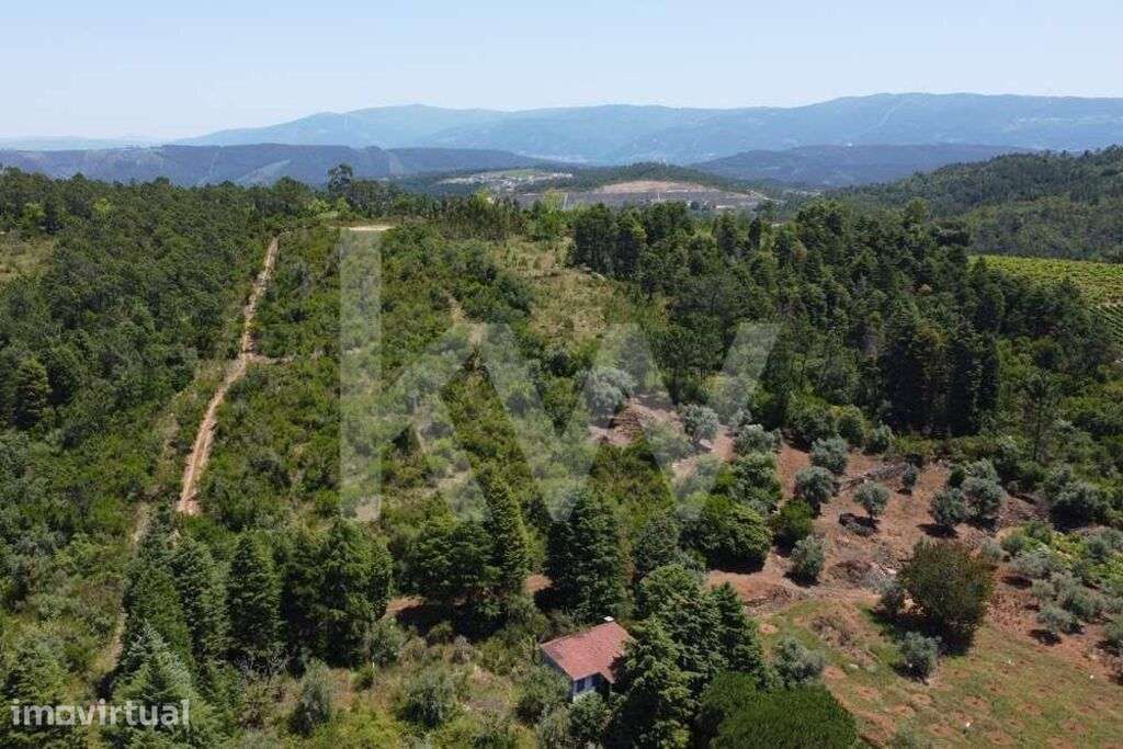 3 Lotes de Terreno com Casa de Apoio Agrícola junto à Aldeia de Alcouc - Grande imagem: 3/26