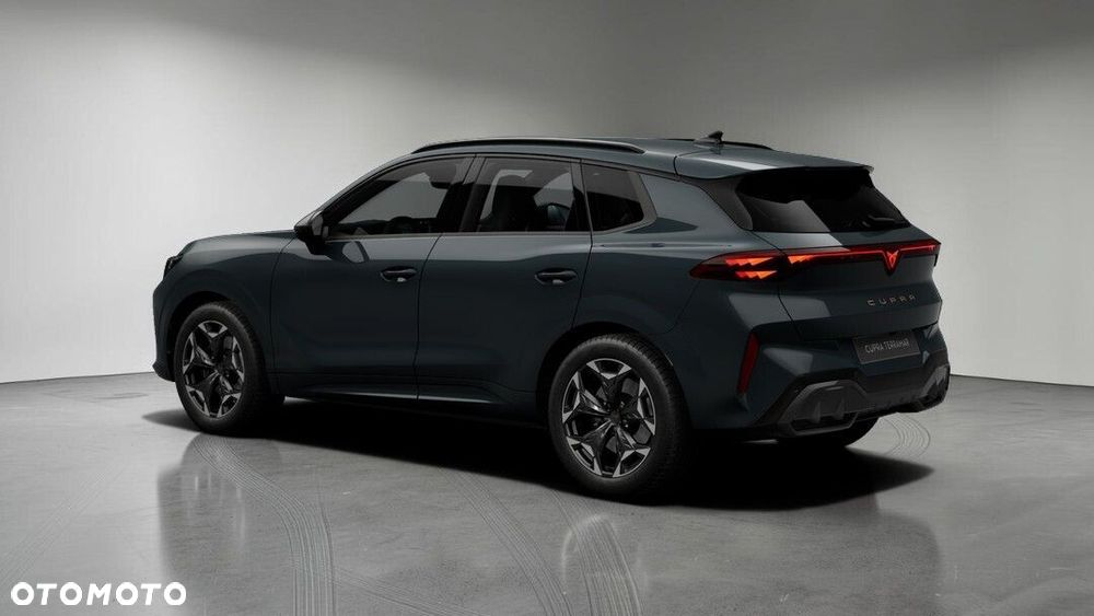 Cupra Terramar 2.0 TSI 4Drive DSG - 6