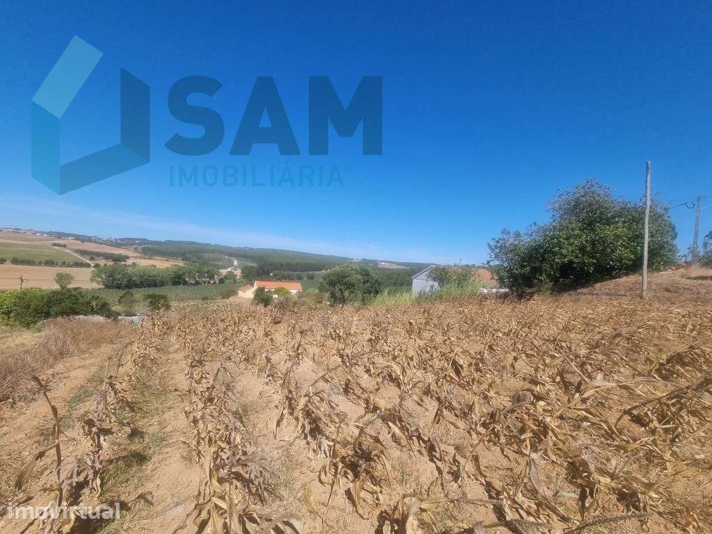 Terreno Urbanizável com 1.880 m² | Excelente Oportunidade em Campel... - Grande imagem: 2/11