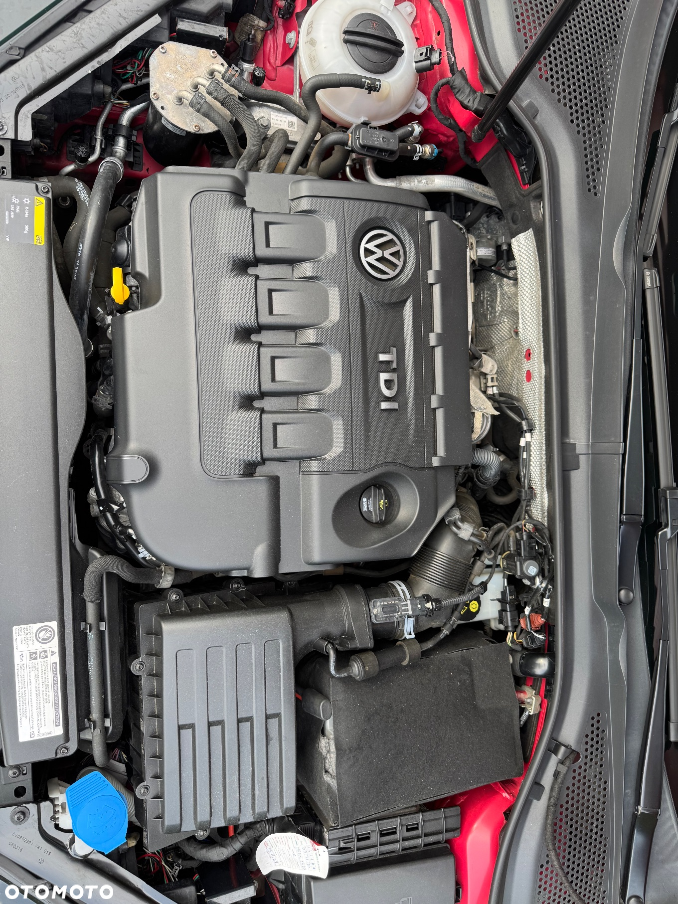 Volkswagen Golf - 15