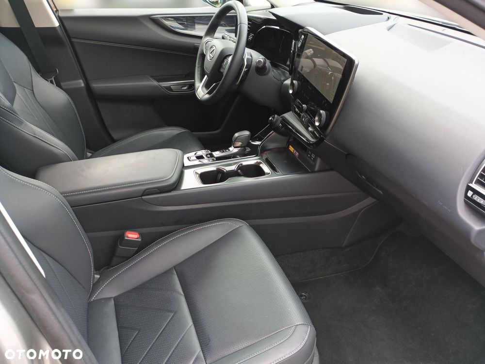 Lexus NX - 10