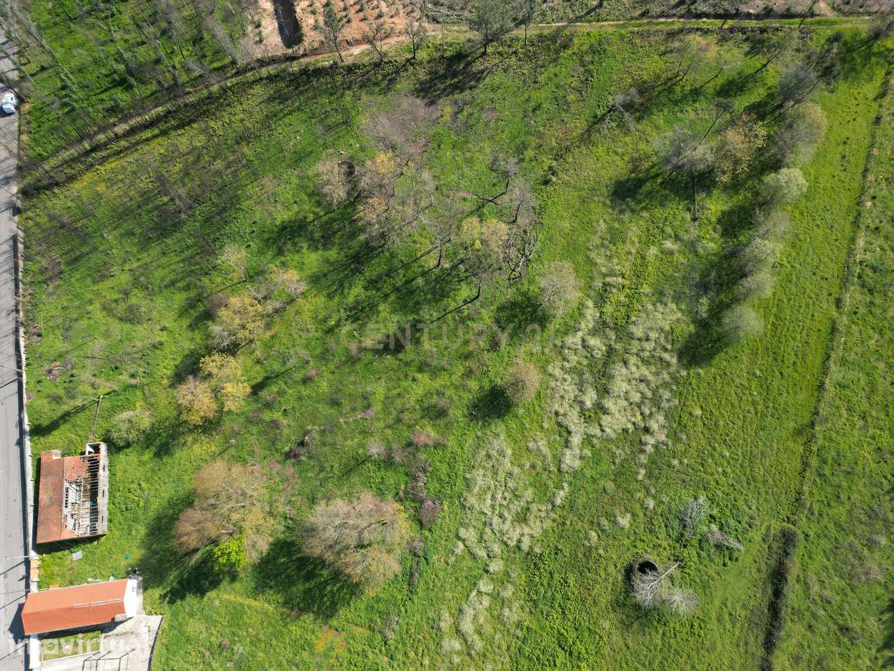 Quinta em Frias - Albergaria a Velha - Grande imagem: 4/7