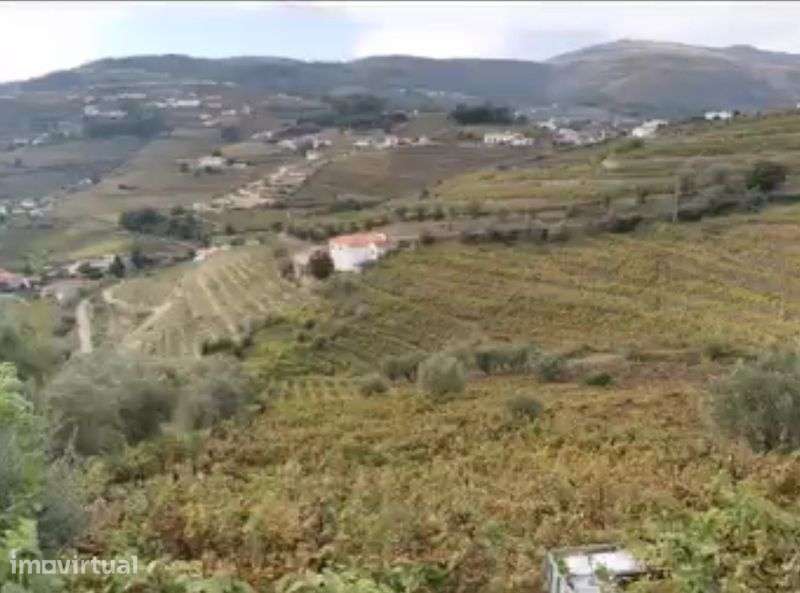 Douro vinhateiro - Vista 2