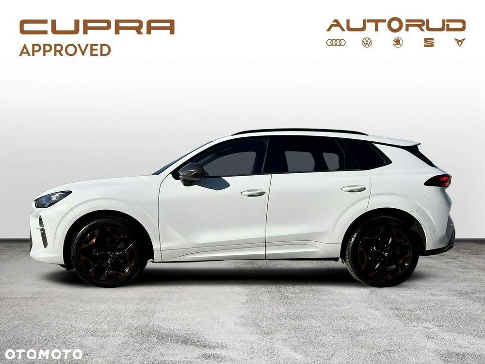 Cupra Terramar - 2