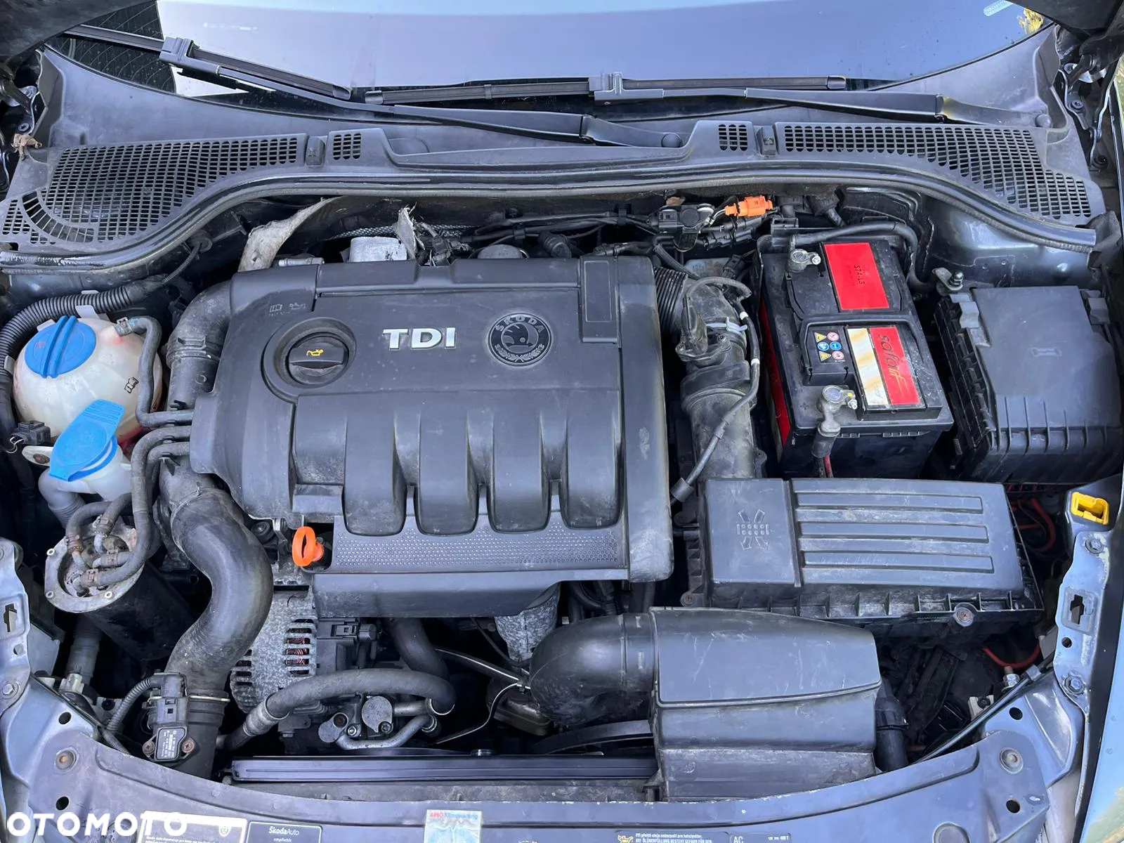 Skoda Octavia Combi 1.9 TDI DSG Elegance - 16