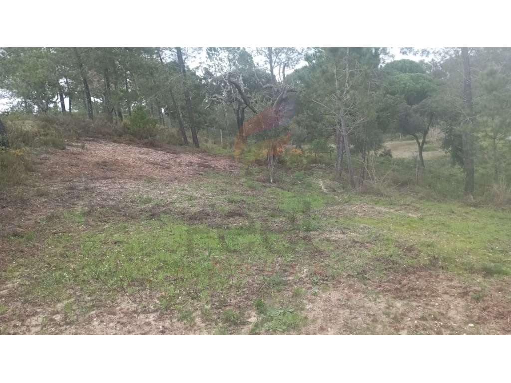 Terreno Rústico - Grande imagem: 3/4