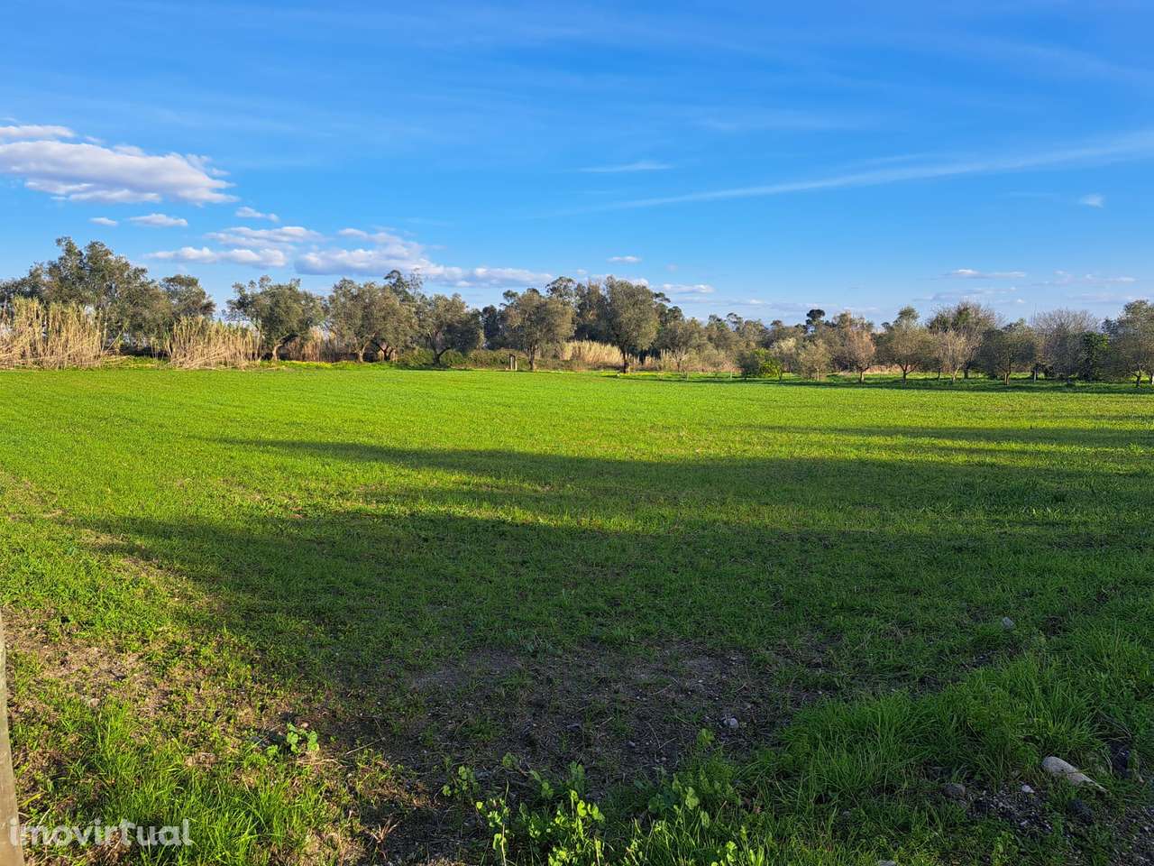 Terreno de 3000m² em Coimbra com acesso pavimentado - Grande imagem: 2/3