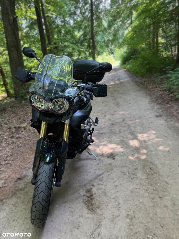 Triumph Tiger - 3