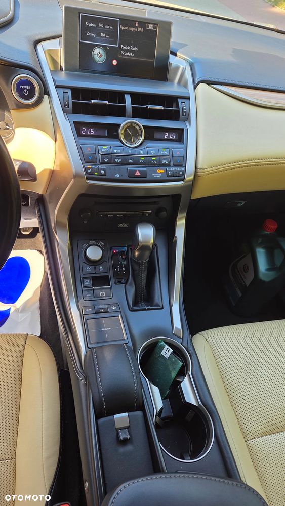 Lexus NX - 19