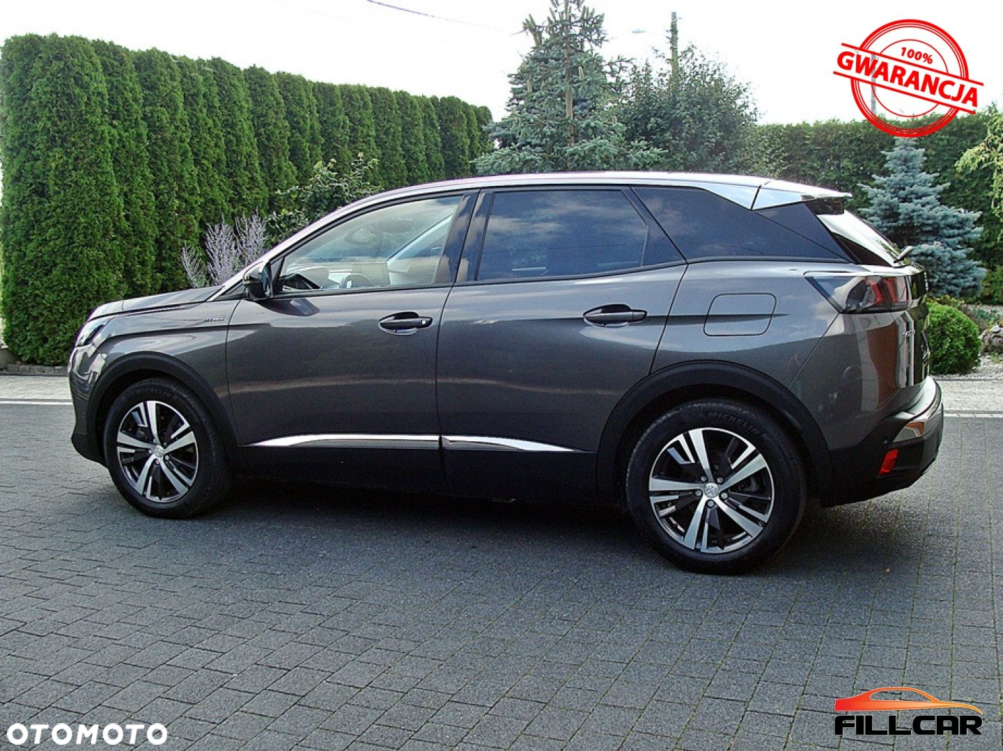 Peugeot 3008 - 8