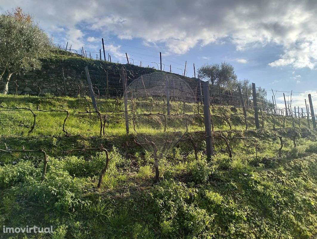 Terreno  para venda - Grande imagem: 2/10