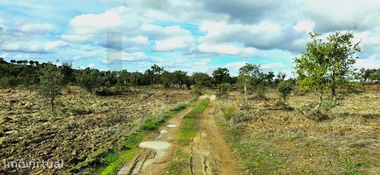 Herdade Exclusiva em Grândola: 35 Hectares, Vistas 360º e Viabilidade - Grande imagem: 2/40