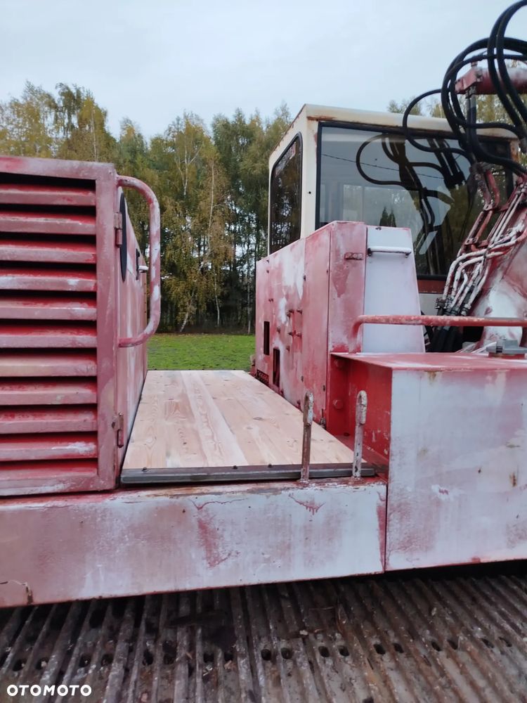 Case 61 błotniak - 15