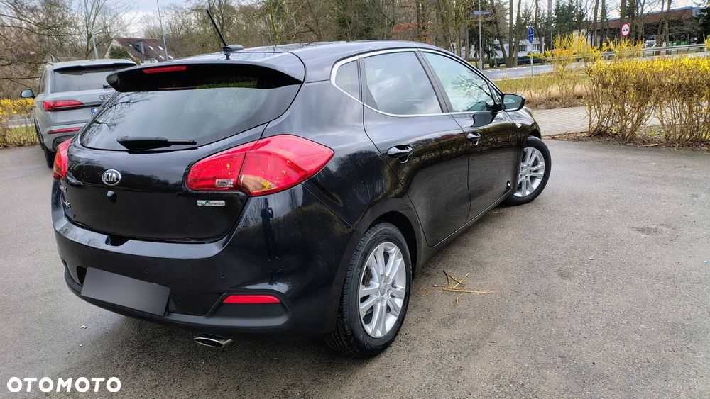 Kia Ceed 1.6 CRDi 128 Dream Team Edition - 25