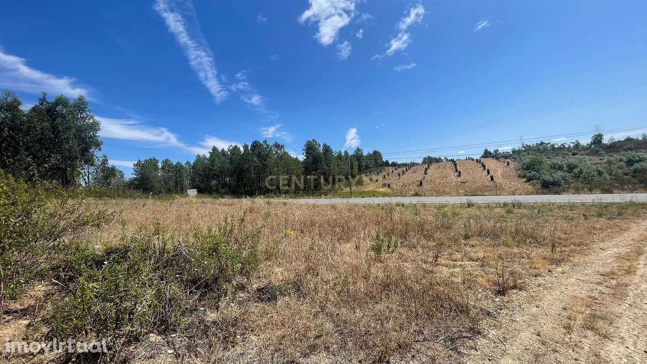 Terreno rústico, Benquerenças - Grande imagem: 2/6