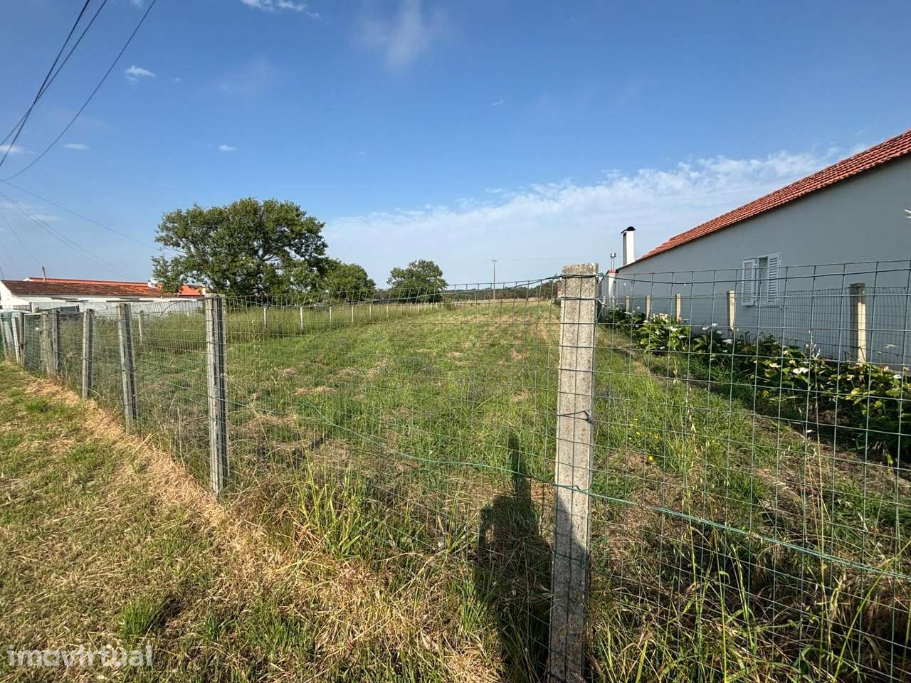 Terreno de 15.600 m2 com 17m de Frente Urbanizável e Pinhal Privado - Grande imagem: 3/12
