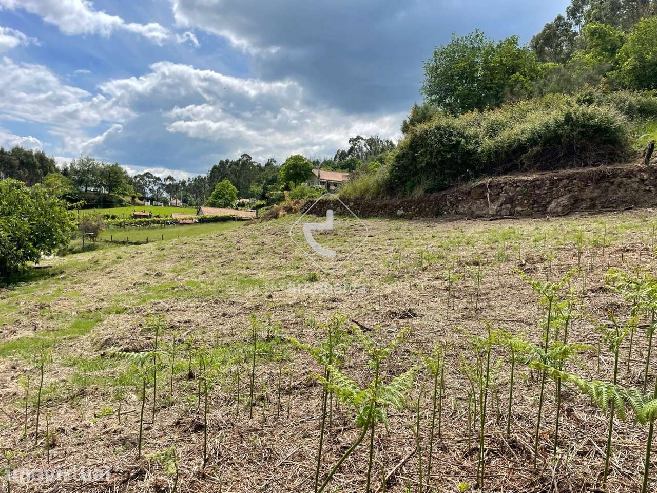 Terreno para construção em Padreiro - Arcos de Valdevez - Grande imagem: 4/13