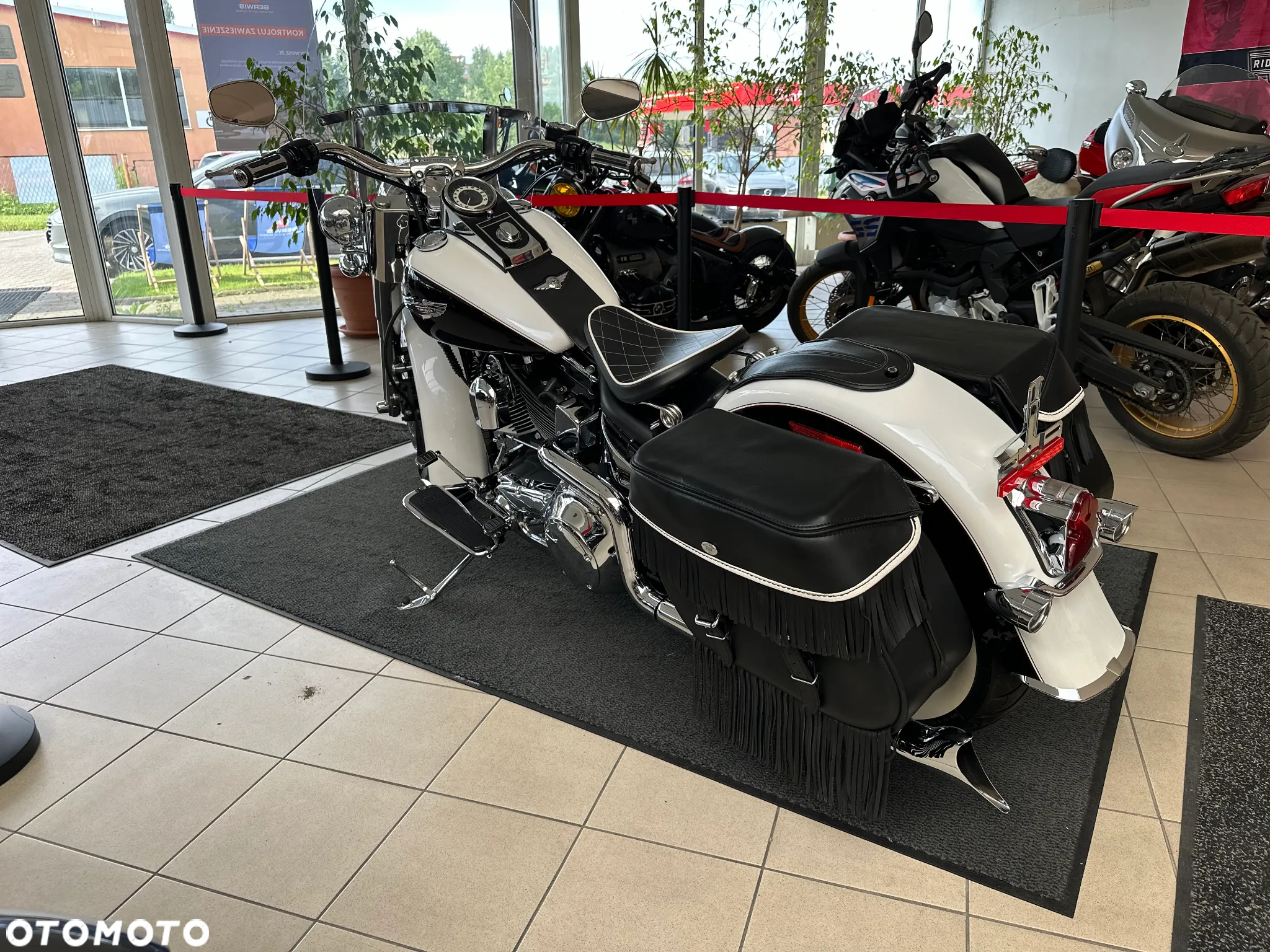 Harley-Davidson Softail - 7