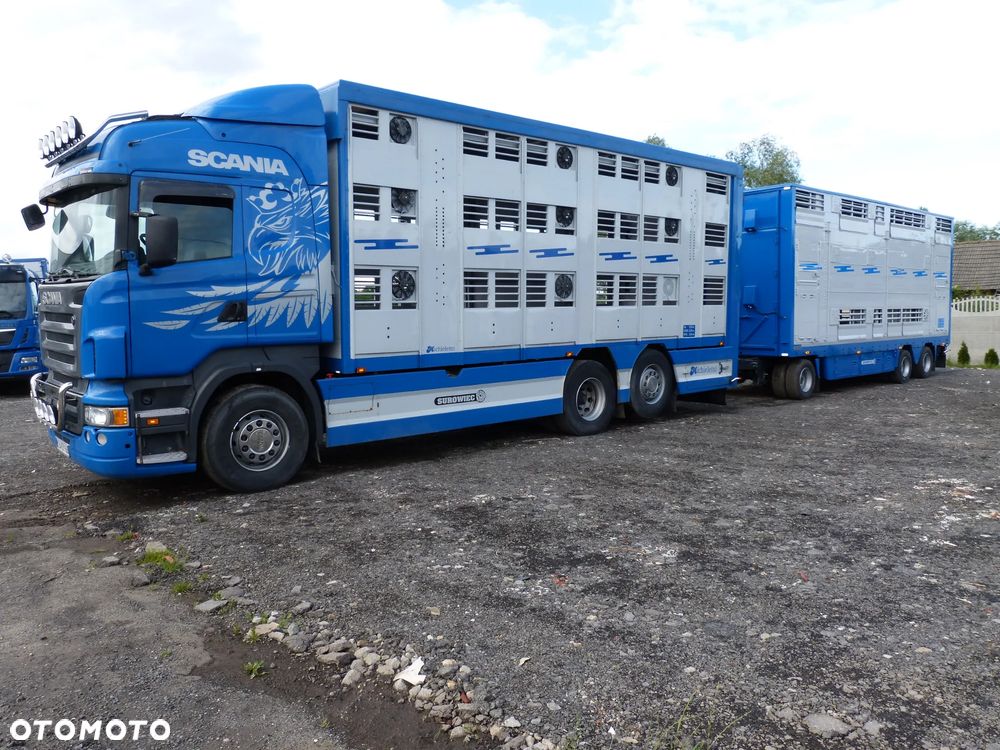 Scania R420 + PRZYCZEPA PEZZAIOLI / ZESTAW DO ŻYWCA, ZWIERZĄT, BYDŁA, TRZODY - 2