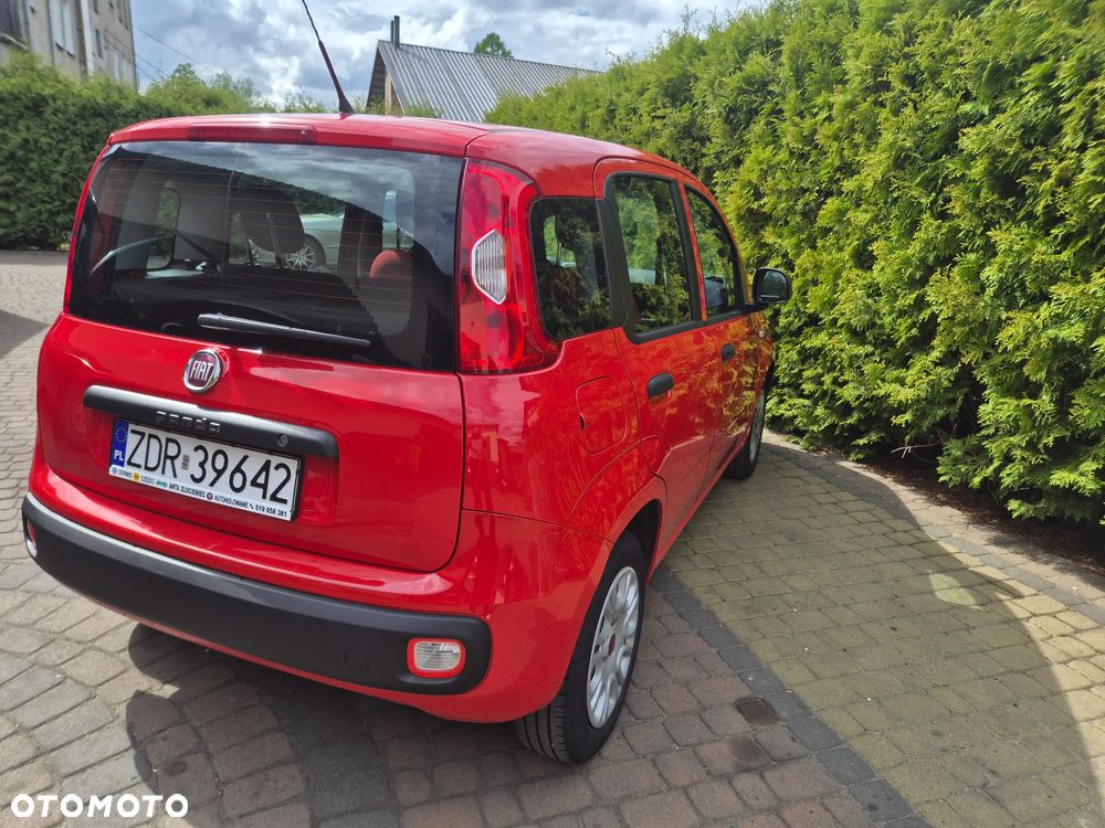 Fiat Panda 1.2 Young - 4