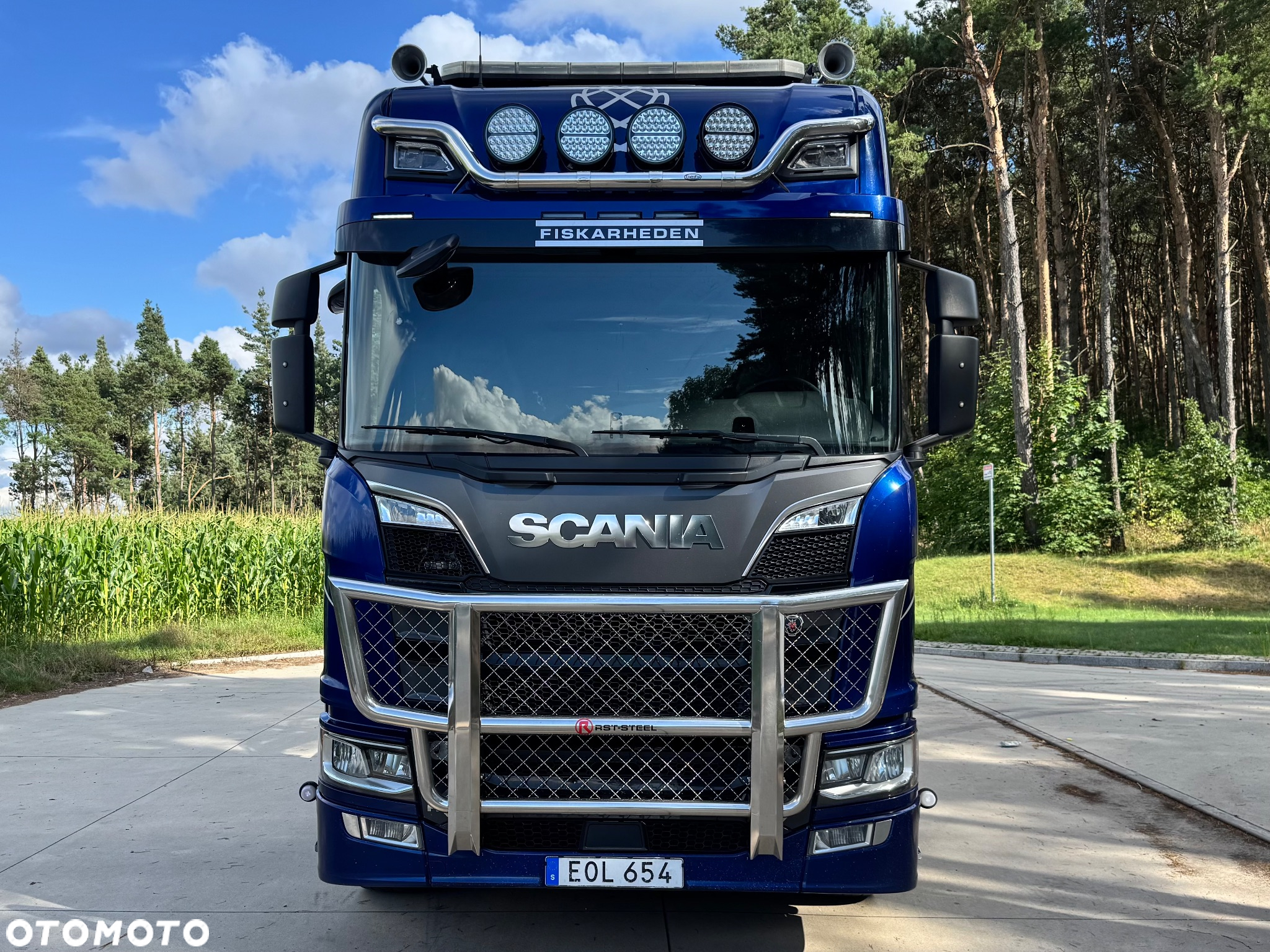 Scania R650 V8 NG DO DREWNA DO LASU - 2