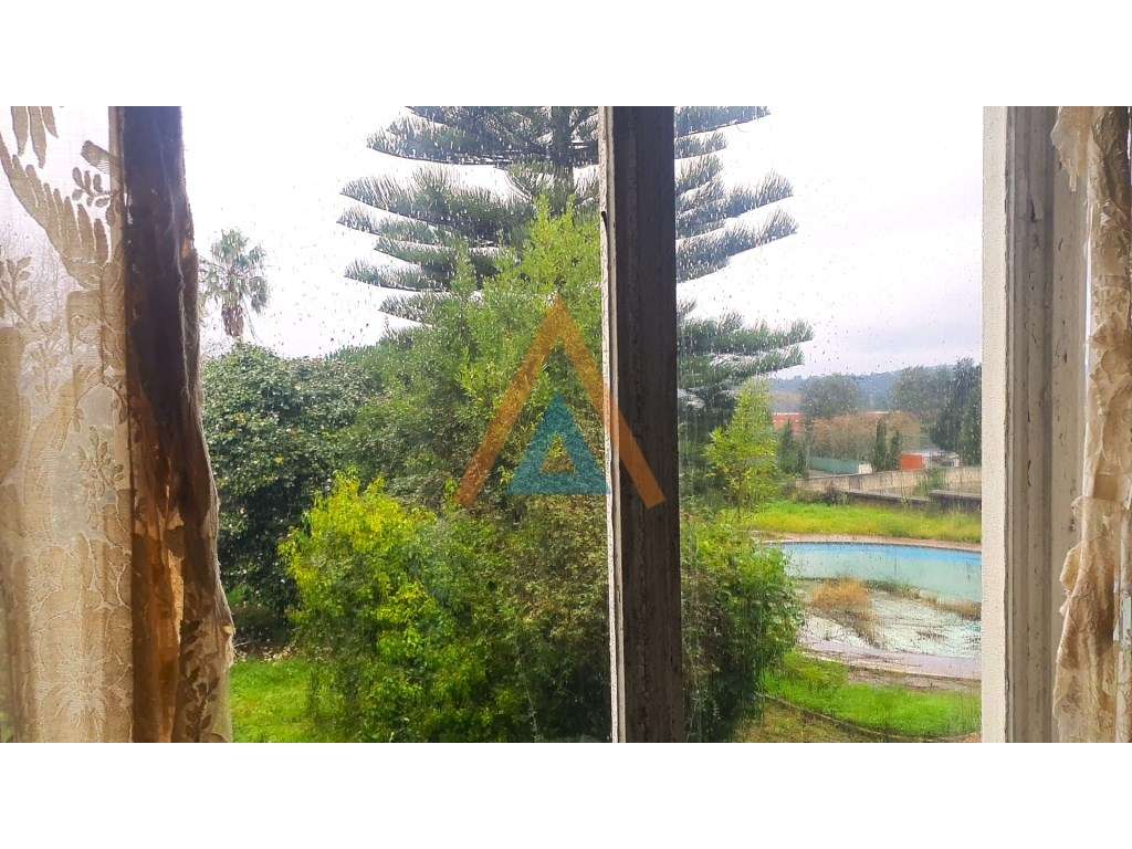 Magnifica Mansão - Grande imagem: 2/60