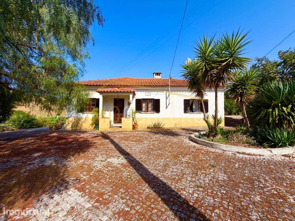 Moradia T3 em Porto Mendo - Tomar - Grande imagem: 4/31