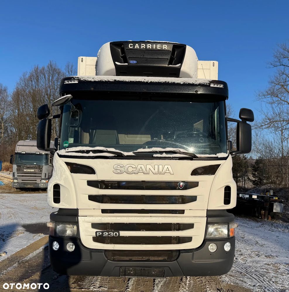 Scania P 230/Euro 5/chłodnia/do zabudowy/full serwis ASO/ - 2