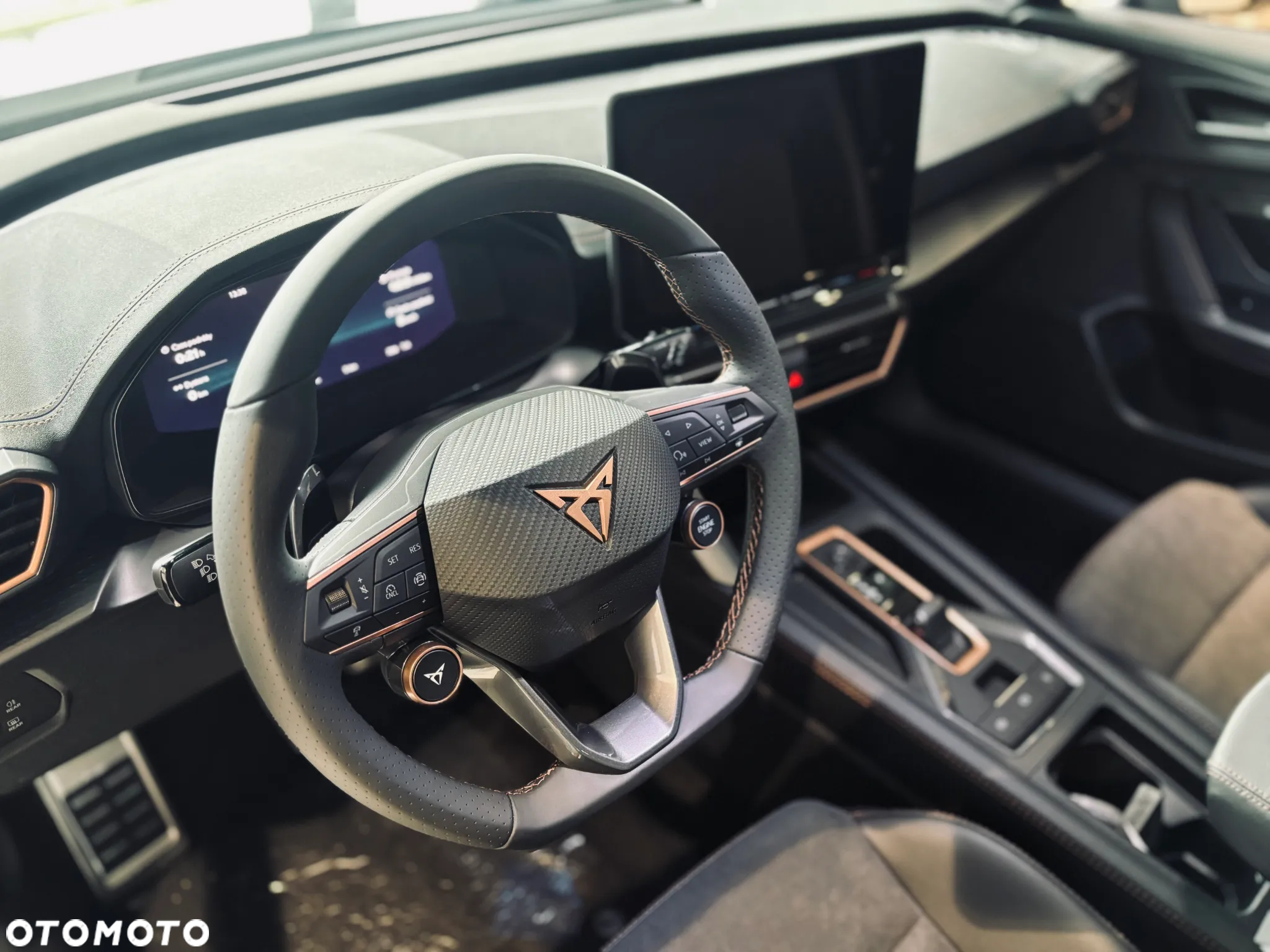 Cupra Formentor 2.0 TDI DSG - 11