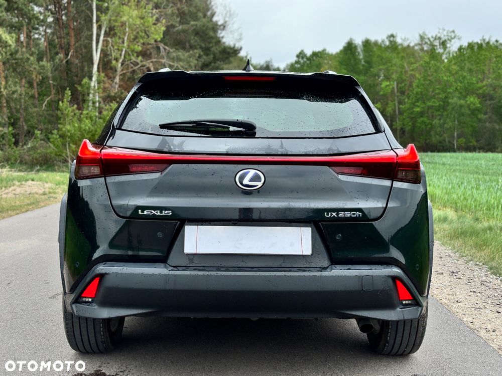 Lexus UX 250h Executive Line - 13