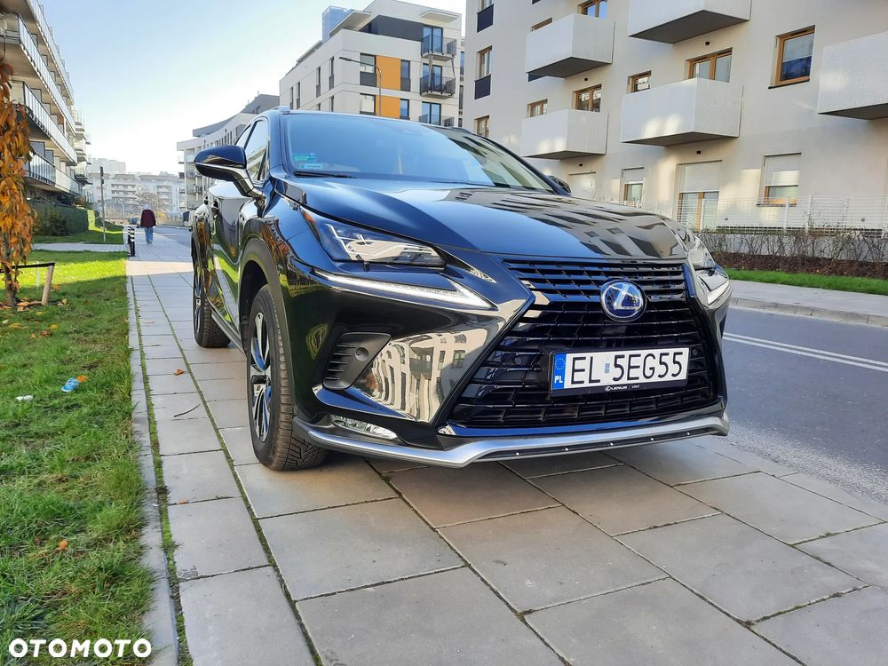 Lexus NX - 6