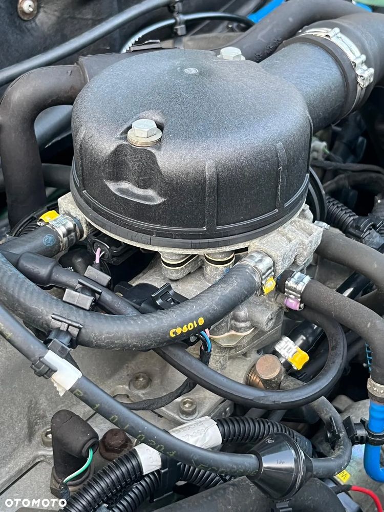 Fiat Seicento Fun / Olimpia - 28