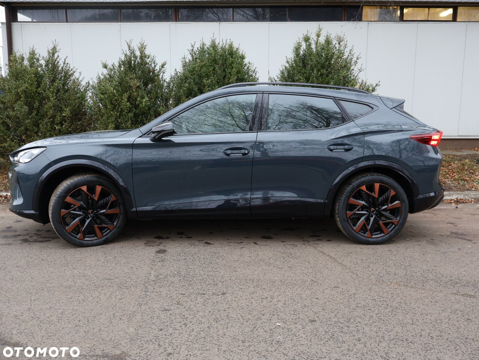 Cupra Formentor - 4