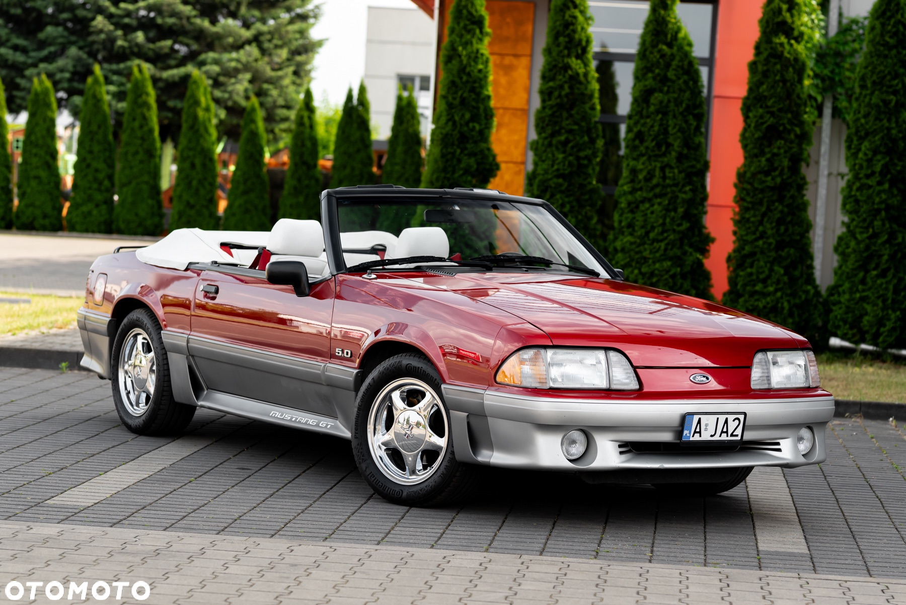 Ford Mustang 5.0 GT - 2