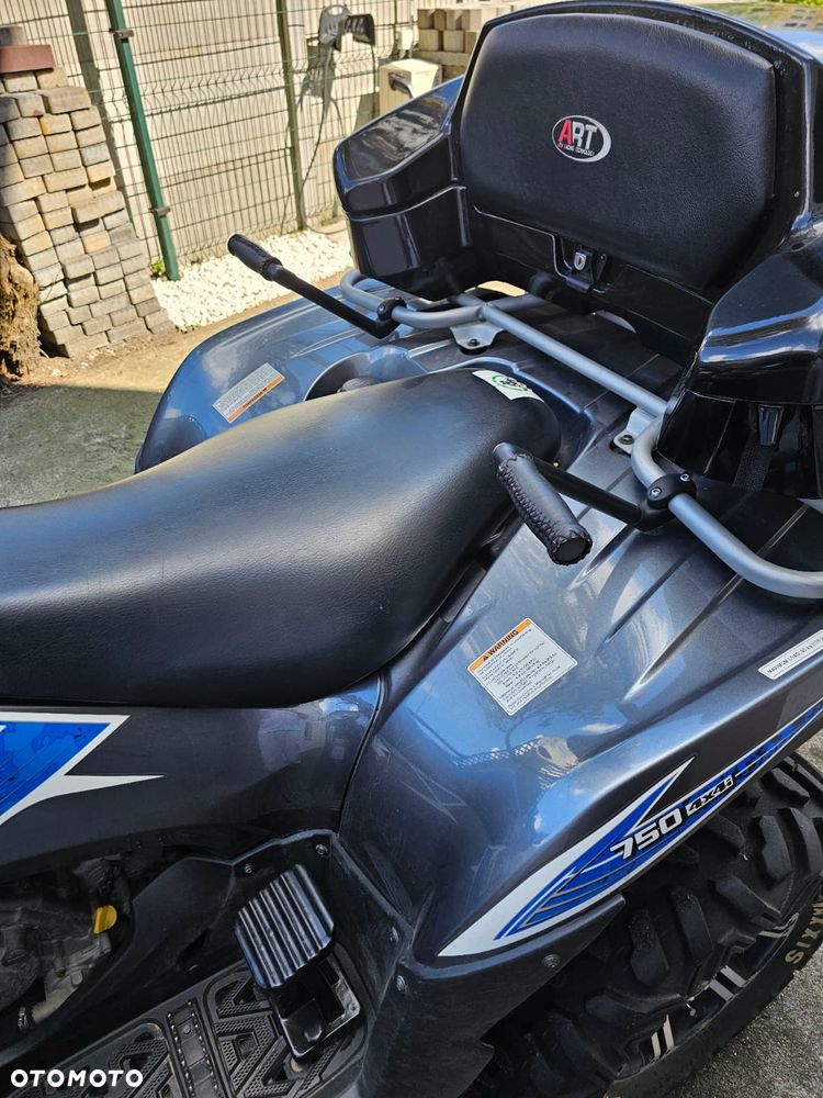 Kawasaki Brute Force - 7