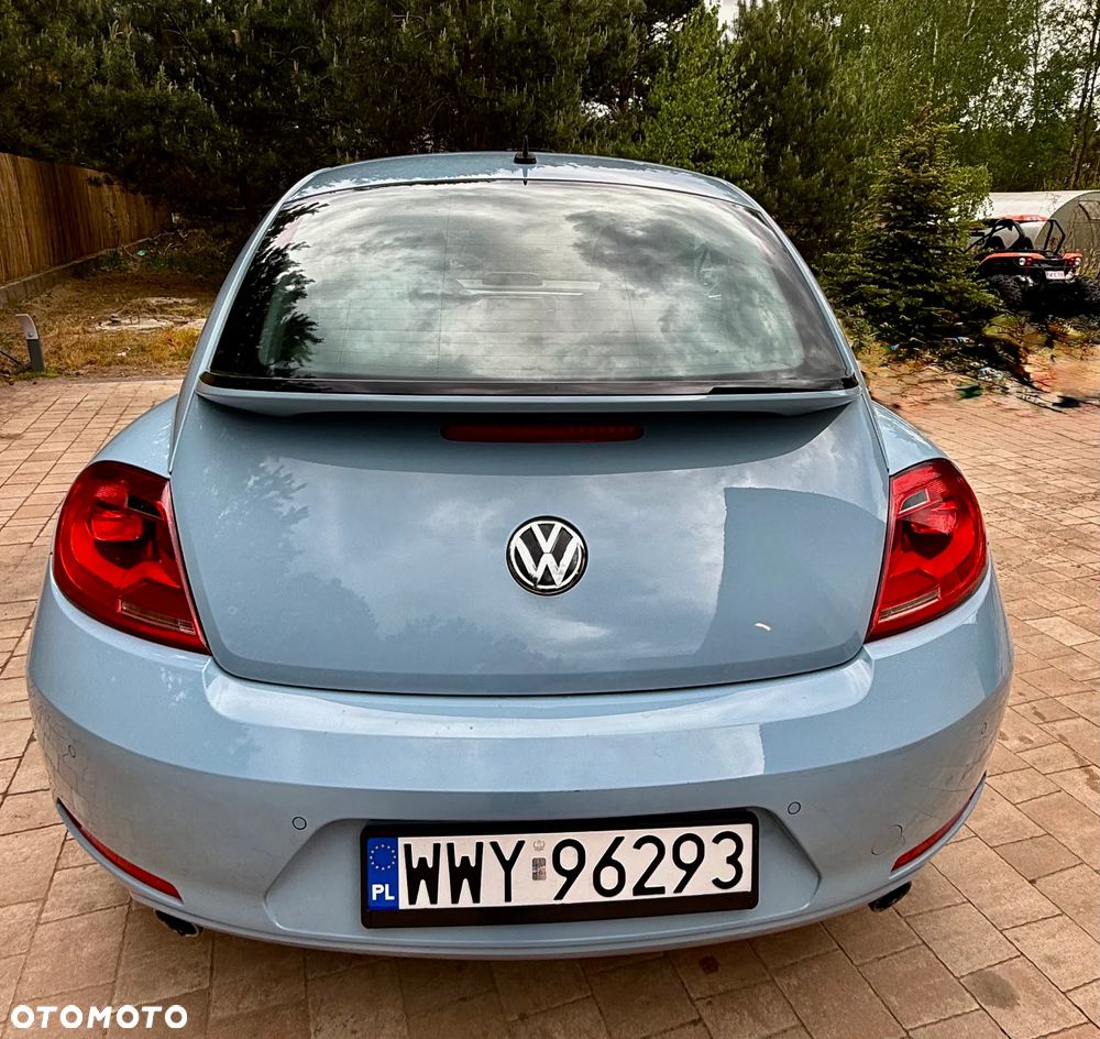 Volkswagen Beetle - 6