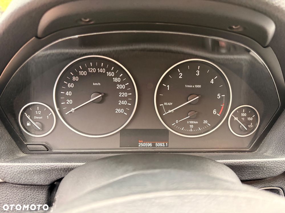 BMW Seria 3 316d Advantage - 19