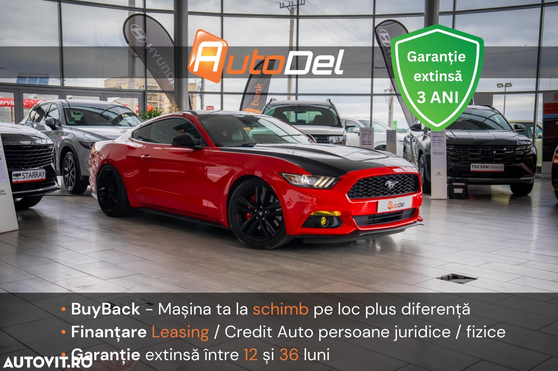 Ford Mustang - 1