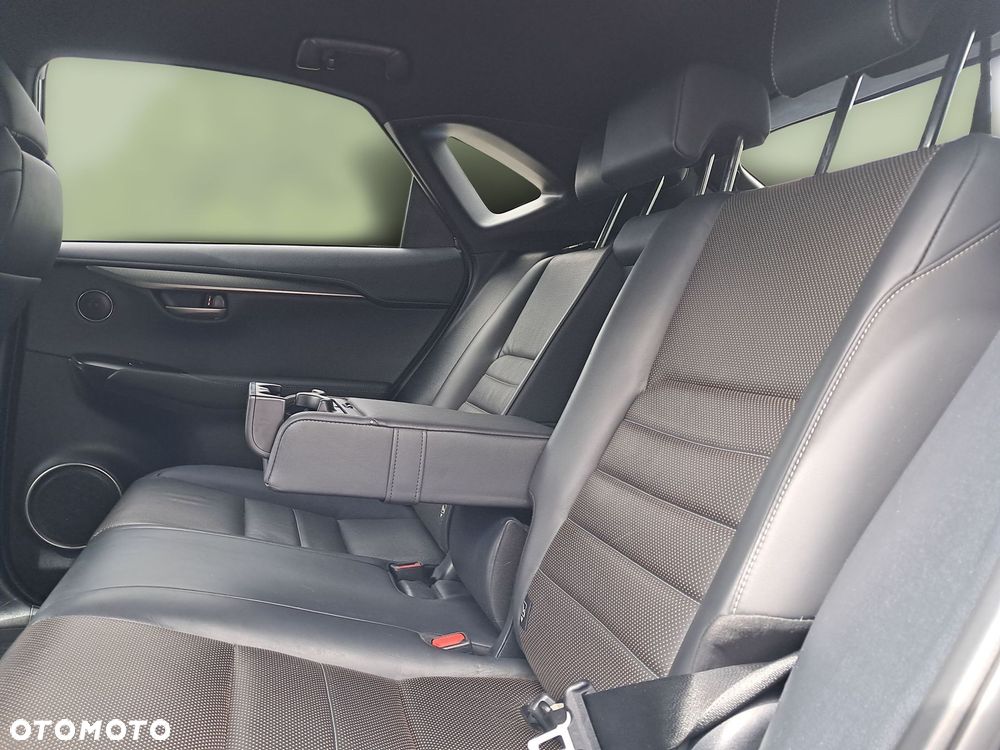 Lexus NX 300h F Sport Edition AWD - 14