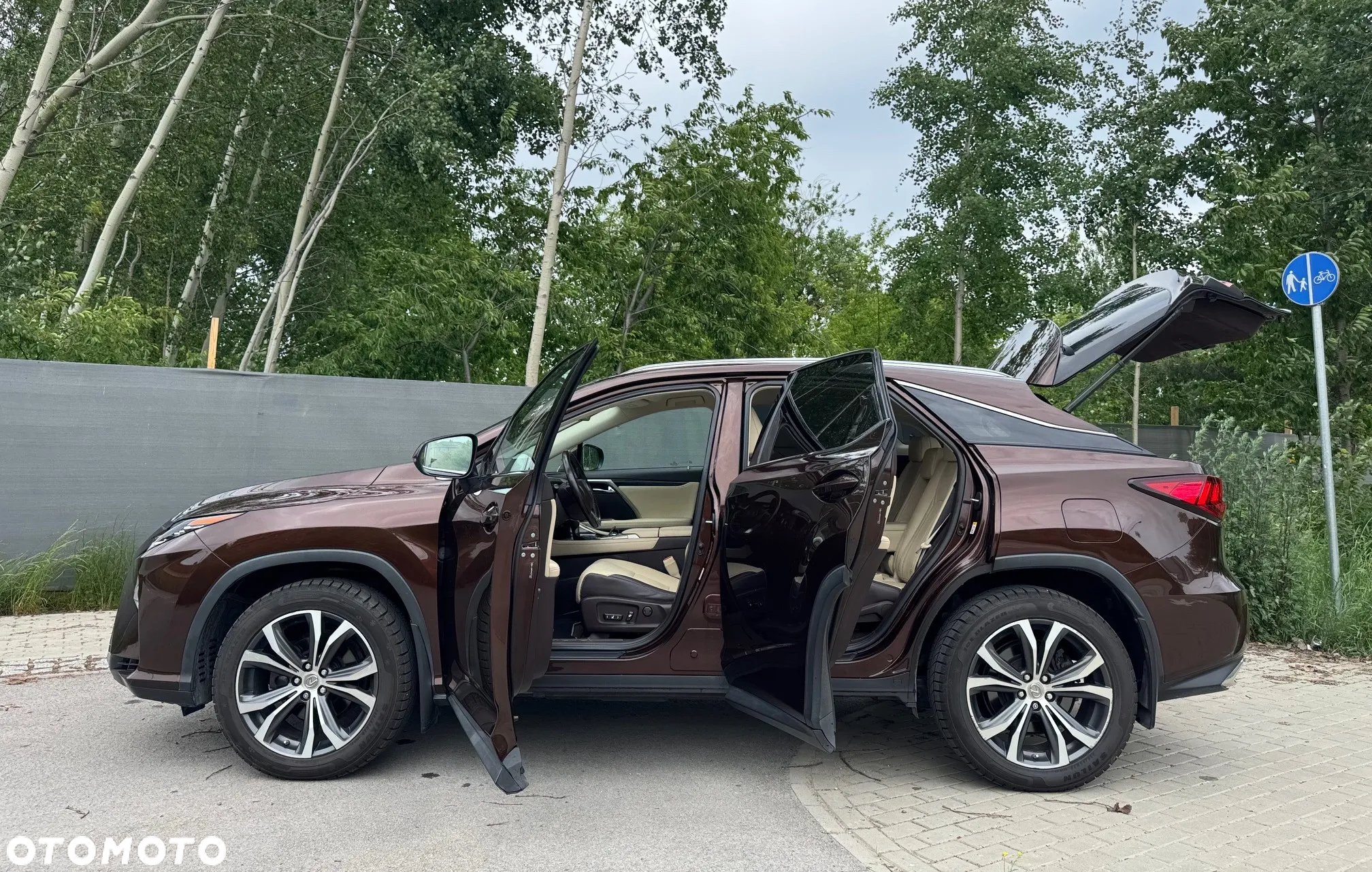 Lexus RX 200t AWD Luxury Line - 6