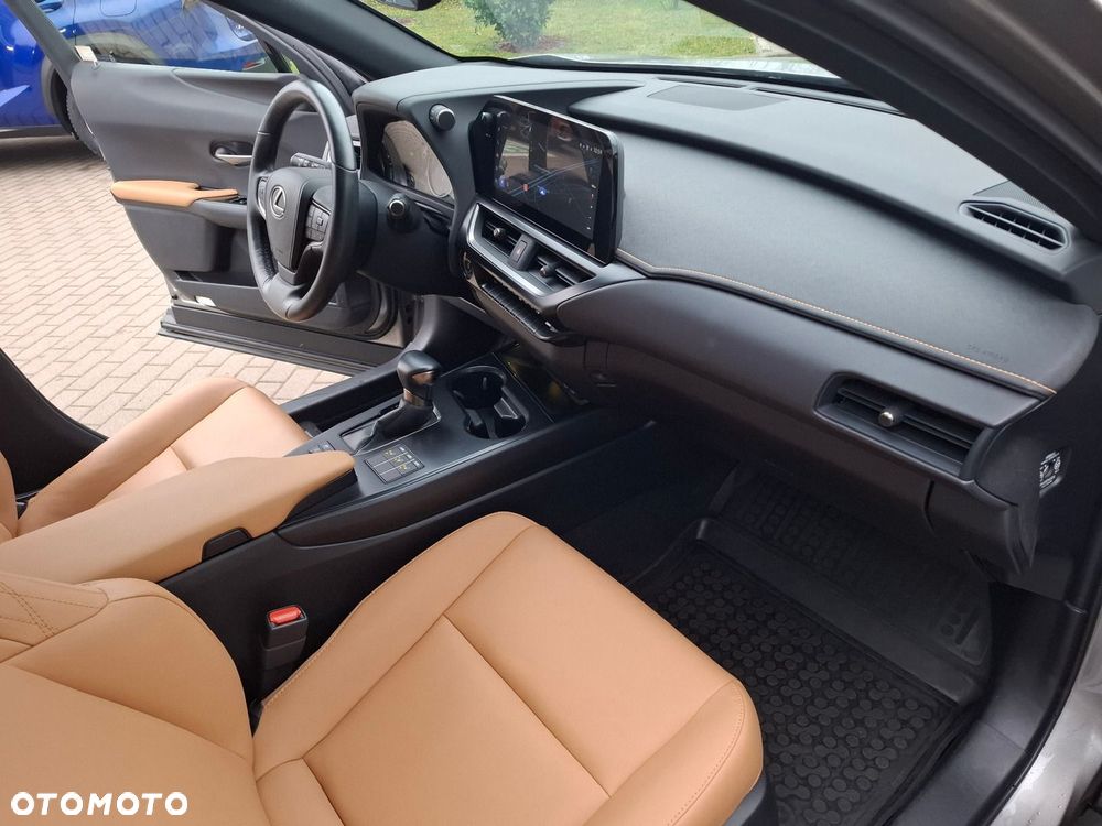 Lexus UX 250h GPF F Sport Design 2WD - 19